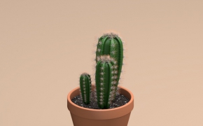 仙人球C4D模型 Cacti