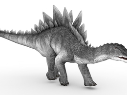 史前动物：剑龙C4D模型（15套/绑定动画） Stego 3d model