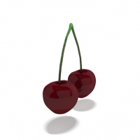樱桃C4D模型 cherry double