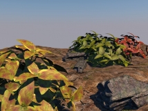 绿化植物3D模型 石头3D模型