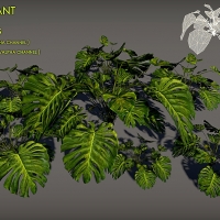 龟背竹3D模型、南方大叶植物3D模型：Free Tropical plant Pack