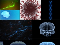 医学智慧大脑新冠病毒DNA链4K视频素材 Production Crate – Medical
