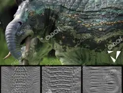 21.4GB动物皮动物角贴图模型合集Texturing.xyz - Animals