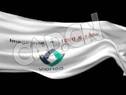 C4D广告旗飘扬企业旗帜公司旗帜红旗动画模型 flag