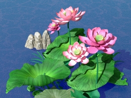 精美逼真池塘荷花植物3D模型