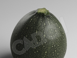 C4D绿色蔬菜夏南瓜模型 Zucchini