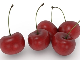 樱桃C4D模型 Cherries Model