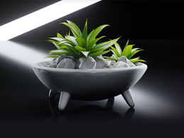 商超装饰：装饰芦荟绿植