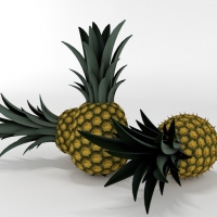 菠萝 凤梨 C4D模型 pineapple 02