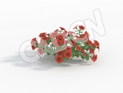 C4D红色矮牵牛花模型 Petunia_E