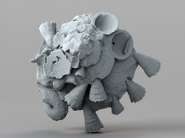 缀壳螺C4D模型 Xenophora