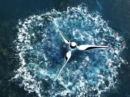 水面上的螺旋翻转流体飞溅水花fluidflip apic rotator r16-r23 x-particles cycles4d