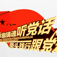 《举旗铸魂听党话 带头践行跟党走》三维立体字、设计字体