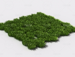 花纹草坪草地绿草植物C4D模型 pattern_lawn-grass-4