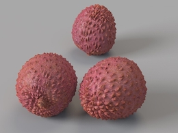荔枝C4D模型 lychee 3d model