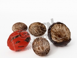 带皮的香果香料玉果果实C4D模型 Fragrant fruit