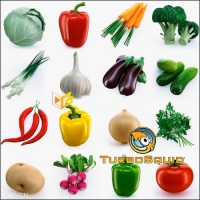 14种蔬菜3D模型合集 蔬菜3D模型 TurboSquid – Collection of Vegetables