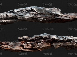 腐烂的木头树杆树枝C4D OC模型 Aset wood branch for c4d octane model