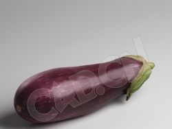 C4D紫色长茄子蔬菜模型 Eggplant