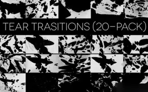 20个布料破碎撕破高清视频素材 VideoHive Tear Transitions (Pack of 20)