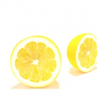 半块柠檬C4D模型 lemon half 002