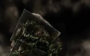 毕设动画制作