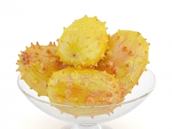 一碗刺角瓜 金腰芒 火参果 火生果 火星果 热带水果 奇瓦诺果 非洲蜜瓜 非洲角黄瓜