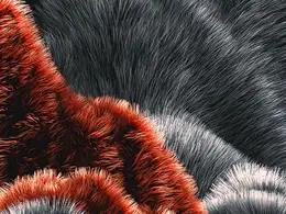 C4D实用工程第315季：创意红色毛发动画C4D工程文件 c4d project