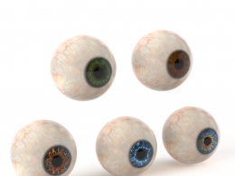 超写实多色彩眼球3D模型合集含五种虹膜颜色适用于医学插图角色设计影视特效