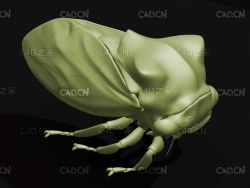 西伯利亚脊角蝉 昆虫C4D模型 Machaerotypus sibiricus