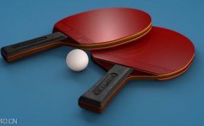 乒乓球/乒乓球拍C4D模型 PingPong 3d model