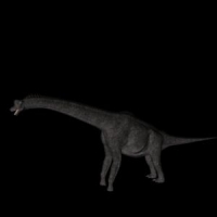 恐龙3D模型：腕龙（Brachiosaurus）