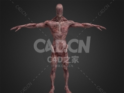 C4D无脸僵尸怪物模型下载