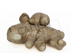 一块生姜调味品C4D模型 ginger