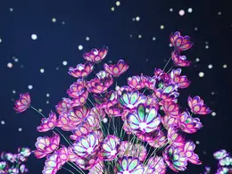 C4D炫彩花卉创意工程 FRIENDLY FLYTRAP