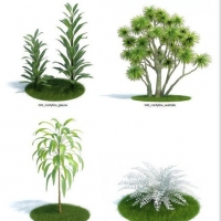 62个景观植物C4D模型合集 Evermotion Archmodels 61