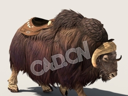 C4D麝牛散步模型（包含骨骼绑定动画) MuskCow_Walk_F 3D Model