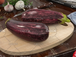 蔬菜模型：紫茄子 eggplant