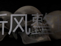 fine骷髅头模型 带贴图