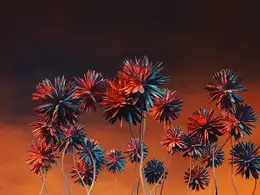 C4D黎明前的花朵创意工程 DANDELION DAWN