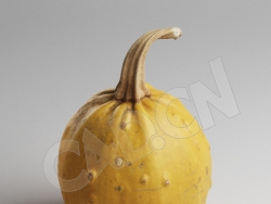C4D黄色南瓜蔬菜模型 Pumpkin
