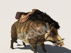 C4D野猪模型（包含骨骼绑定动画) WildBoar 3D Model