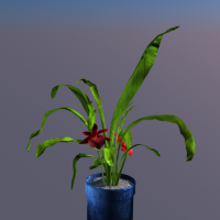C4D盆景植物模型：Plant Model