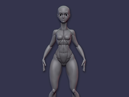 卡通肌肉女性3d模型 Split Female Anatomy