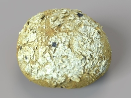 橄榄黑麦面包C4D模型 Olive Rye Bread
