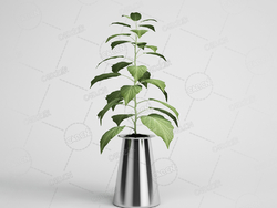 室内绿植盆栽植物模型下载