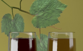 红酒葡萄C4D模型（c4d for vray） Red wine grape