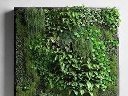 花园植被墙C4D模型 CGTrader – Vertical Garden 2 3D model