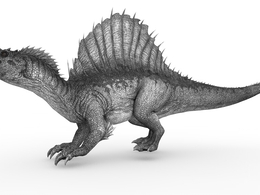 史前动物：棘背龙C4D模型（13套/含绑定动画）Spino 3dmodel