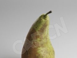 C4D水果巴梨模型 Pear